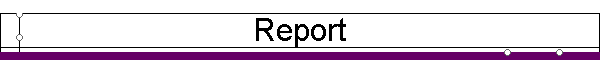 Report