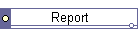 Report
