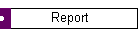 Report